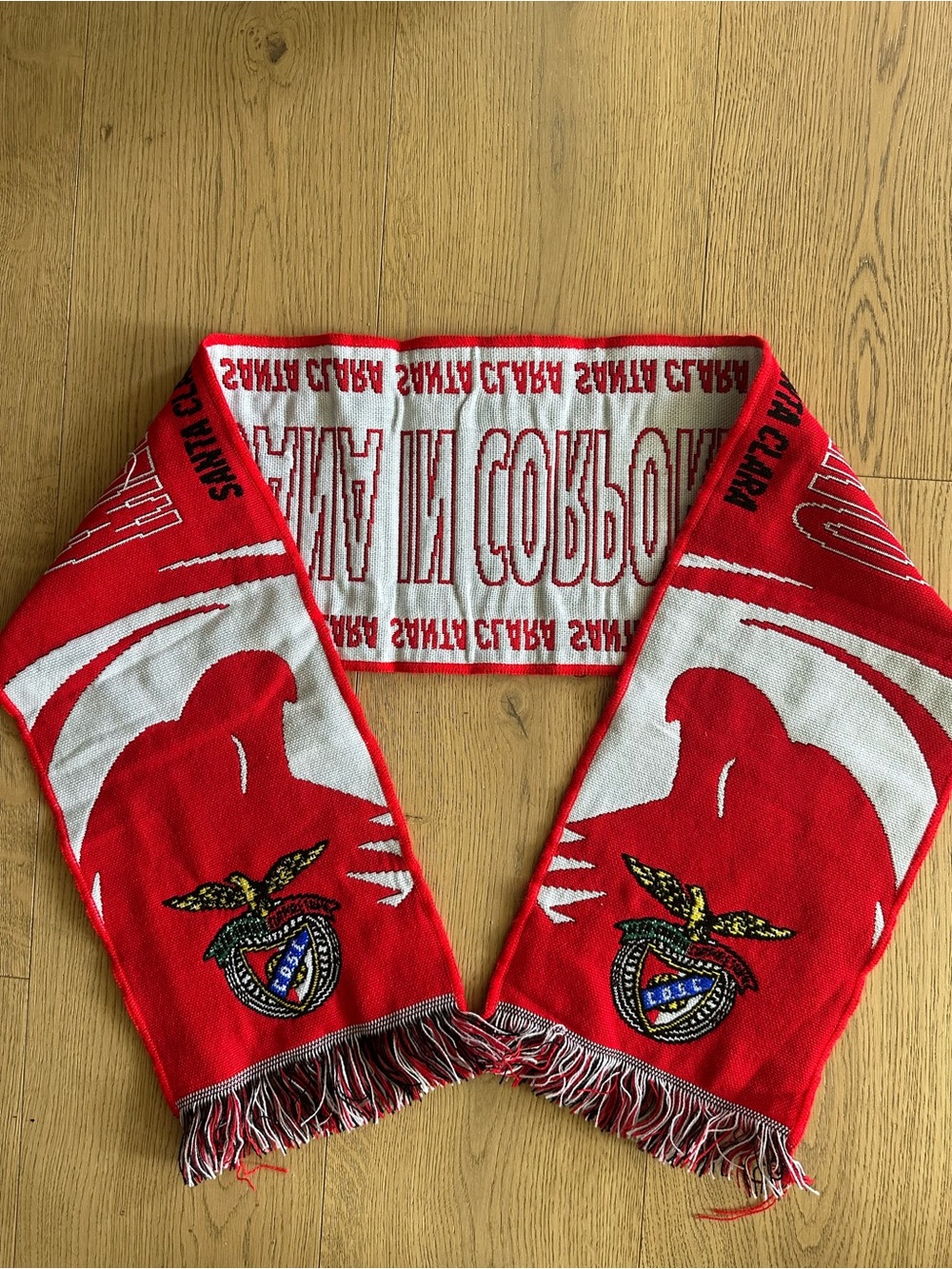 SANTA CLARA SPORTS SCARF SOCCER SCARF ⚽️WORLD CUP⚽️